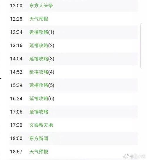 文轩私生爆料视频网址,独家爆料背后的真相与争议